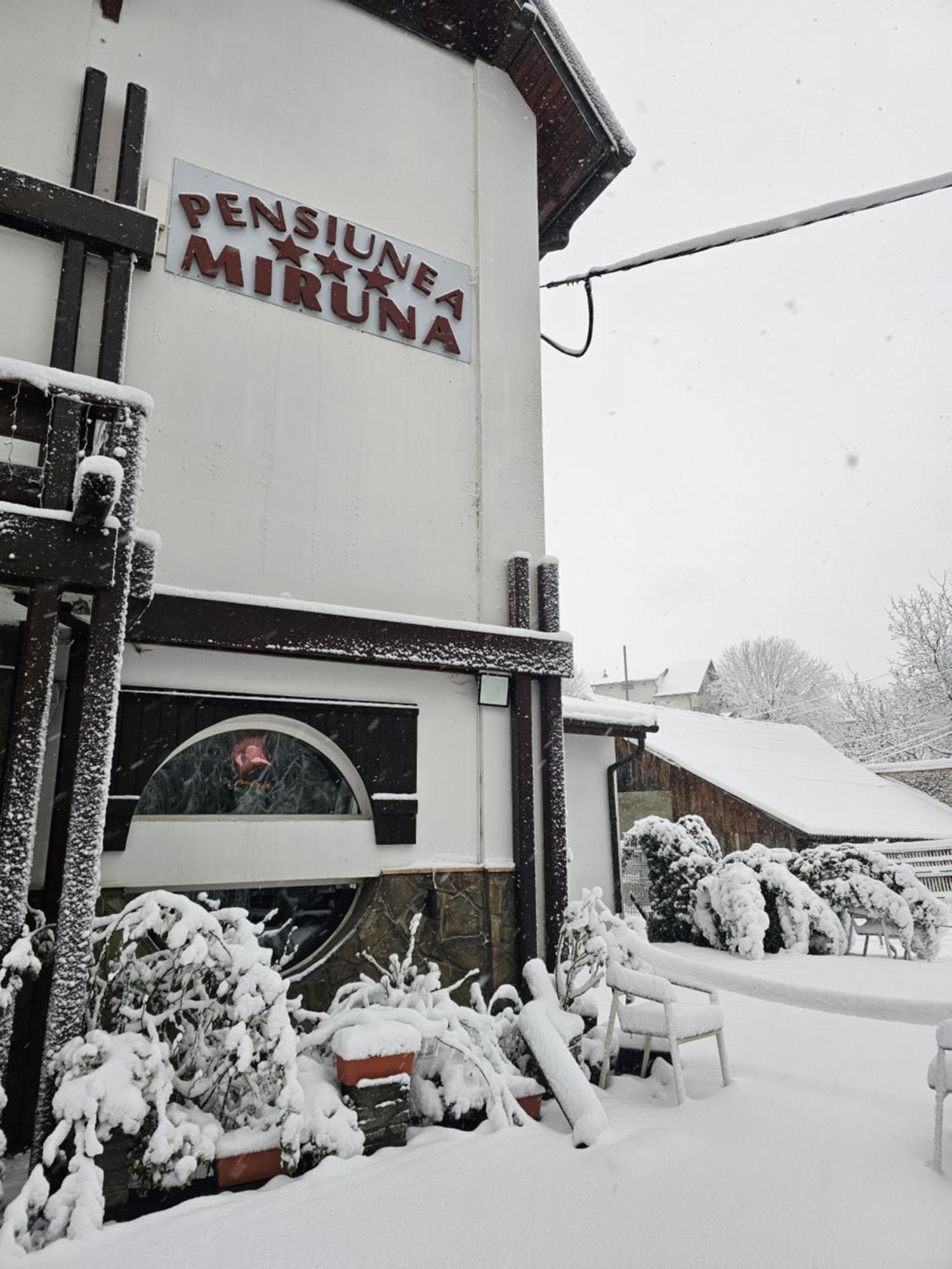 Pensiunea Miruna Moieciu de Jos Exterior photo